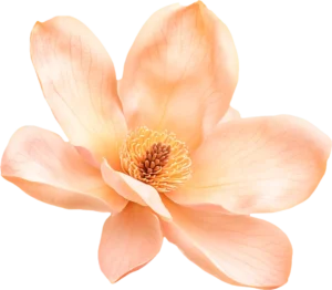 dibujo de flor